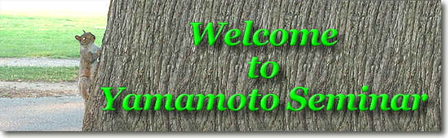�^�C�g��(2000�N�x�o�[�W����)